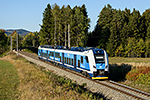651 216-4