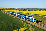 651 224-8