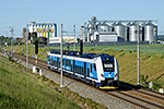 651 246-1