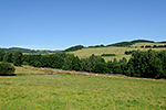 Hořice na Šumavě