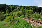Plešovice