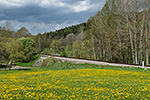 Hořice na Šumavě, foceno: 10.05.2017