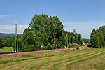 Nová Pec, foceno: 18.07.2015