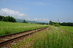 Holubov