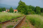 Holubov