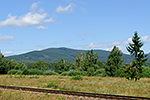 Hodňov, foceno: 26.07.2015