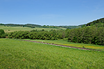 Hořice na Šumavě, foceno: 29.05.2017