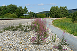 Černá v Pošumaví, foceno: 05.08.2015