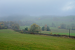 Waldburg, foceno: 07.11.2015