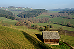 Waldburg, foceno: 05.12.2015