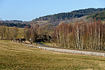 Hořice na Šumavě, foceno: 20.12.2015