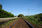 Třísov