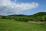 Hořice na Šumavě, foceno: 20.05.2014