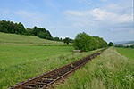 Třísov, foceno: 03.06.2014