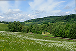 Hořice na Šumavě, foceno: 05.06.2014