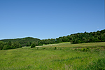 Mezipotočí, foceno: 08.06.2014