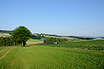 Deutsch Hörschlag, foceno: 19.06.2014