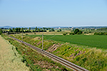 Bošilec, foceno: 23.06.2014