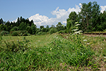 Šebanov, foceno: 23.07.2014