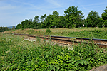 Černá v Pošumaví - Karlovy Dvory, foceno: 26.07.2014