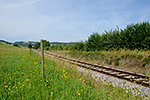 Šebanov, foceno: 26.07.2014