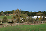 Srnín