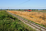 Bošilec, foceno: 28.08.2014