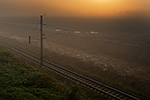 Bošilec, foceno: 05.09.2014