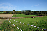 Freidorf (Rakousko), foceno: 19.10.2014, autor: Jaroslav Dvořák