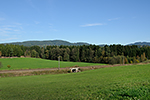 Freidorf (Rakousko), foceno: 19.10.2014, autor: Jaroslav Dvořák