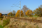 Dolní Svince, foceno: 04.11.2014