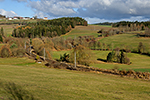 Waldburg (A), foceno: 28.11.2016