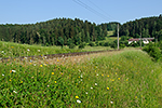 Semmelbauer