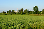 Velešín