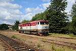 749 019-6, trať: 194 Černý Kříž - České Budějovice (Kájov), foceno: 04.09.2013