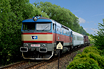 751 316-1