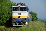 754 006-5