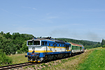 754 006-5, trať: 194 České Budějovice - Černý Kříž (Šebanov), foceno: 20.07.2014