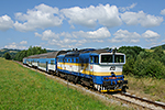 754 006-5, trať: 194 Černý Kříž - České Budějovice (Šebanov), foceno: 24.07.2014