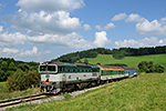 754 022-2, trať: 194 České Budějovice - Černý Kříž (Šebanov), foceno: 06.08.2014