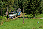 754 022-2, trať: 194 Nové Údolí - České Budějovice (Nová Pec), foceno: 14.08.2016