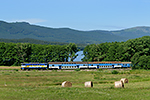 754 024-8, trať: 194 Nové Údolí - České Budějovice (Pihlov), foceno: 05.07.2016