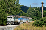 754 031-3, trať: 194 Černý Kříž - České Budějovice (Černá v Pošumaví), foceno: 05.08.2015