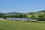 754 039-6, trať: 194 Černý Kříž - České Budějovice (Mezipotočí), foceno: 07.08.2015