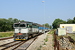 754 039-6, trať: 194 Černý Kříž - České Budějovice (Horní Planá), foceno: 13.08.2015