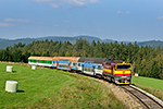 754 044-6, trať: 194 Nové Údolí - České Budějovice (Ovesná), foceno: 14.09.2016