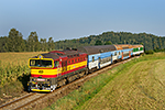 754 044-6, trať: 194 Nové Údolí - České Budějovice (Holubov), foceno: 14.09.2016