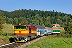 754 044-6, trať: 194 Nové Údolí - České Budějovice (Dlouhý Bor - Nová Pec), foceno: 15.09.2016