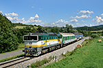 754 045-3, trať: 194 České Budějovice - Černý Kříž (Hořice na Šumavě), foceno: 21.07.2015