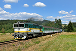 754 045-3, trať: 194 České Budějovice - Černý Kříž (Hodňov), foceno: 31.07.2015